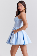 Tina | Tulle Mini Dress